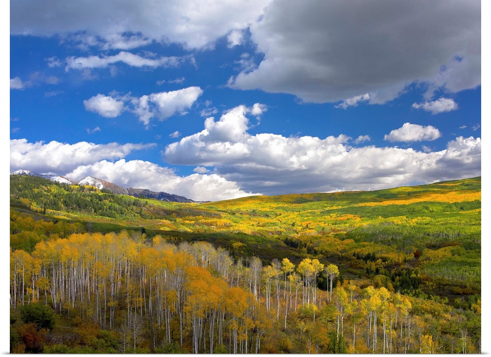 Gunnison National Forest in fall, Colorado