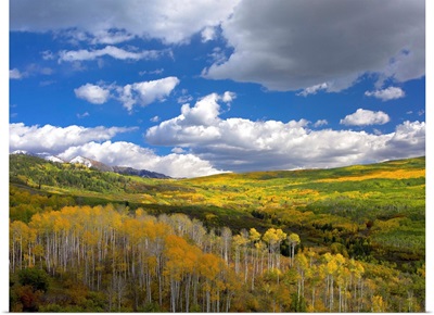 Gunnison National Forest in fall, Colorado