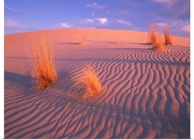 Gypsum dunes, Guadalupe Mountains National Park, Texas