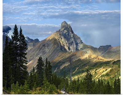 Hilda Peak, Icefields Parkway, Banff National Park, Alberta, Canada