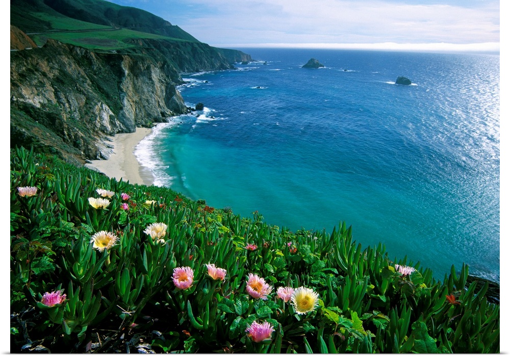 This wall art is a landscape photograph of wildflowers growing on a sea cliff overlooking a Pacific coast beach.