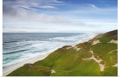 Ice plant covering sand dunes along coastline, Sand City, Monterey Bay, California