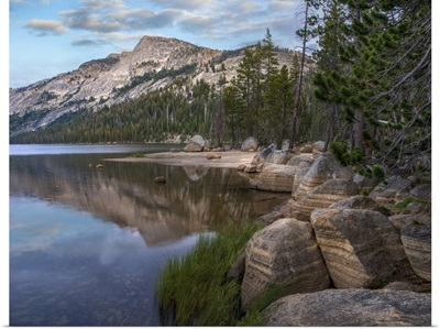Lake Tenaya And Sierra Nevada, Yosemite National Park, California