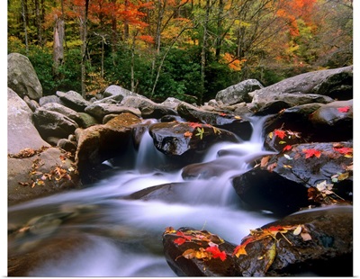 Little Pigeon River, Great Smoky Mountains National Park, Tennessee