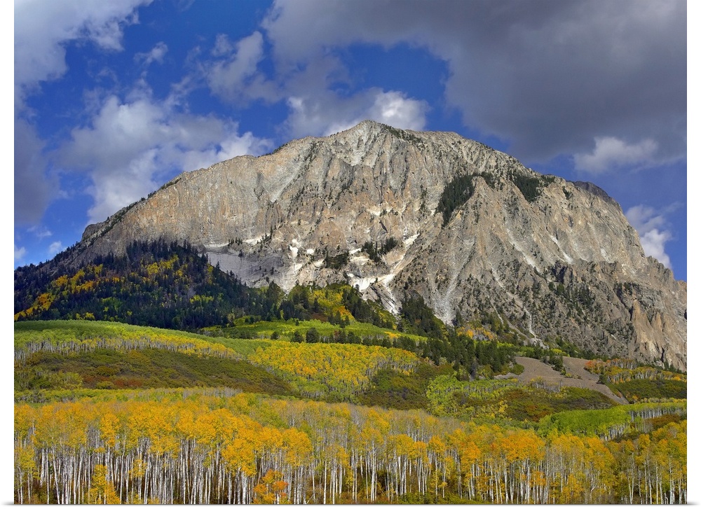 Marcellina Mountain and aspen forest in Raggeds Wilderness, Colorado