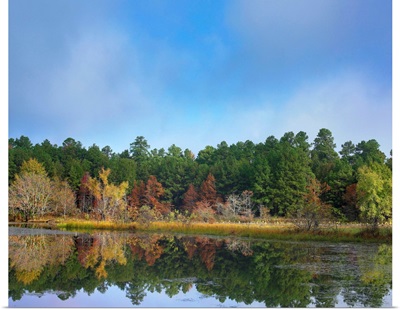 Millwood Lake State Park, Arkansas