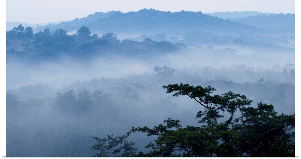 Mist over tropical rainforest, Kibale National Park, western Uganda.