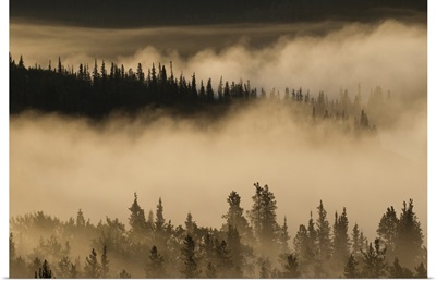 Morning fog near Swan Lake along the Alaska Highway, Yukon, Canada