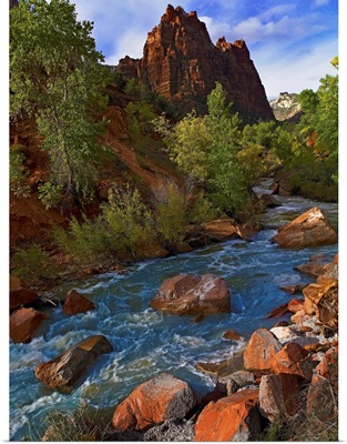 Mt Spry with the Virgin River surrounded by Cottonwood trees, Zion National Park, Utah