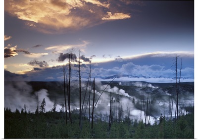 Norris Geyser basin with steam plumes from geysers, Yellowstone National Park, Wyoming