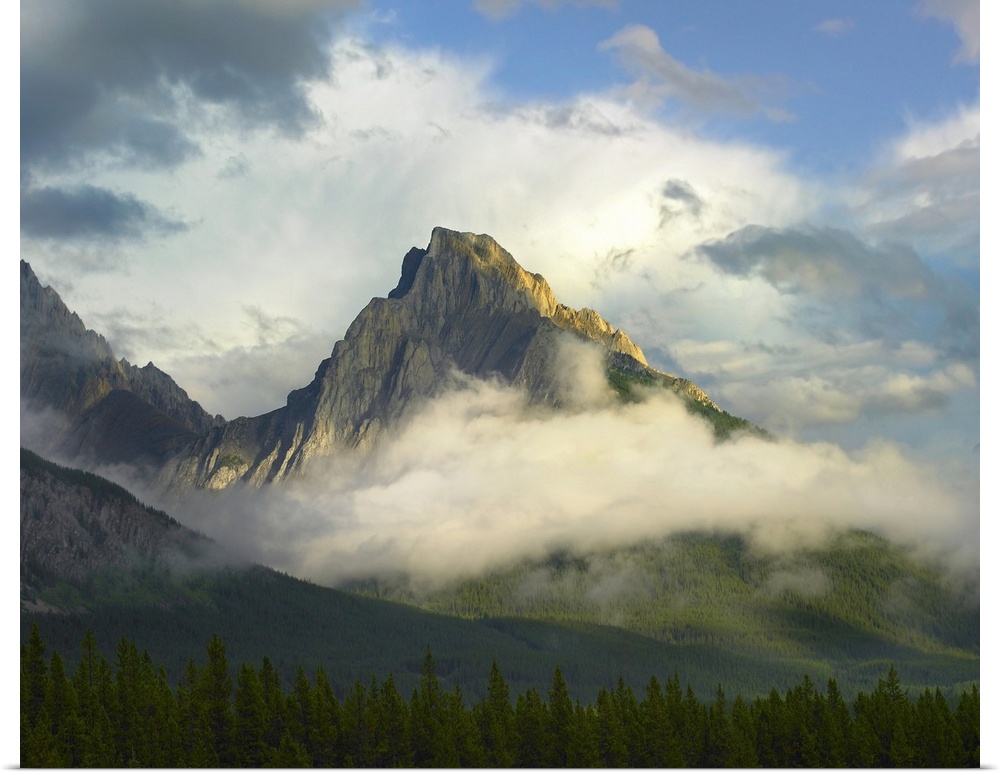 Tim Fitzharris-7005-Foggy Opal Range Kananaskis Country Alberta.tif