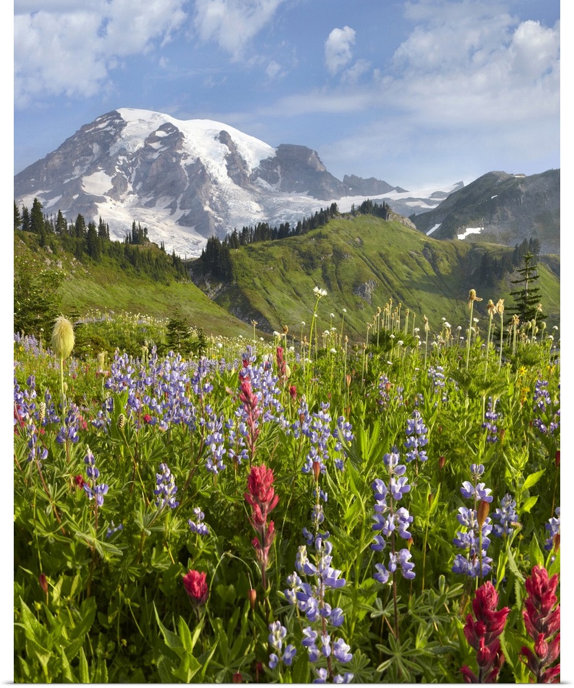 A vertical photograph of a nature landscape filled with wildflowers in the foreground, trees growing on a mountain ridge, ...