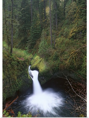 Punchbowl Falls at Eagle Creek Columbia River Gorge Oregon
