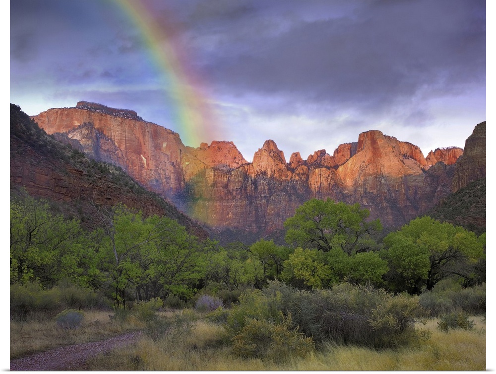 Rainbow at Towers of the Virgin, Zion National Park, Utah