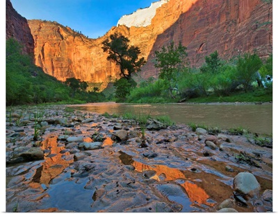Reflections In Virgin River After Flooding, Zion National Park, Utah