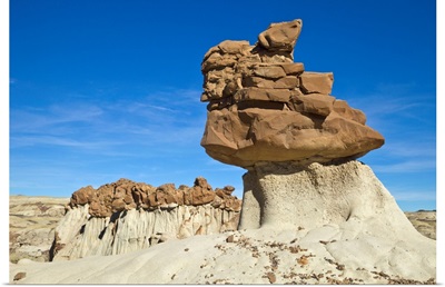 Rock Formation Bisti Wilderness Area New Mexico