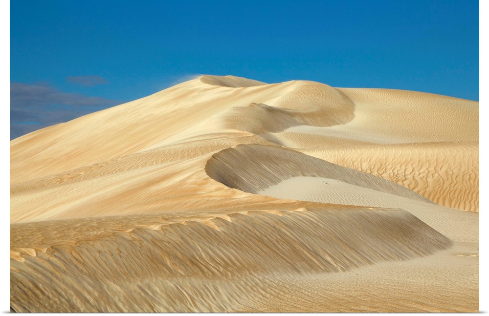 Sand Dune Cactus Beach South Australia