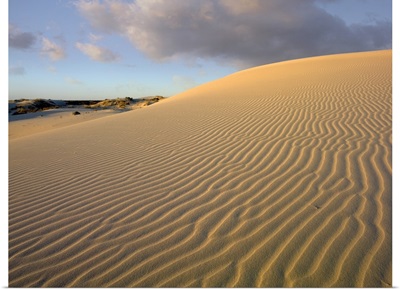 Sand dune, Monahans Sandhills State Park, Texas