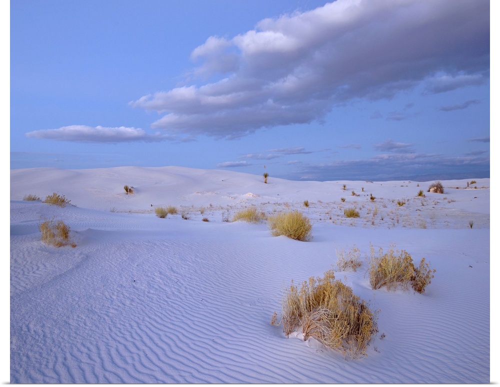 Sand dunes, White Sands NM, New Mexico