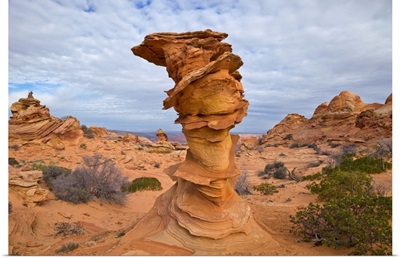 Sandstone Formation Vermillion Cliffs National Monument Arizona