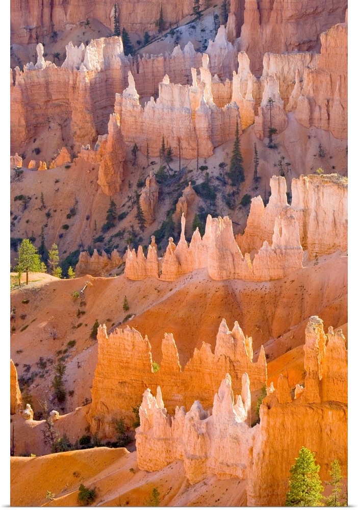 Sandstone Hoodoos Bryce Canyon National Park, Utah