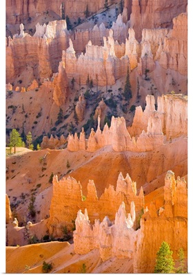 Sandstone Hoodoos Bryce Canyon National Park, Utah