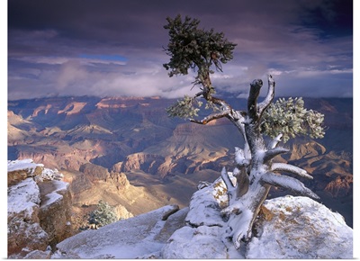 South Rim of Grand Canyon with a dusting of snow seen from Yaki Point