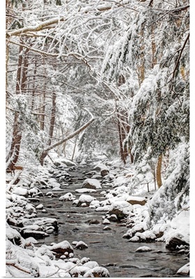 Stream in winter, Nova Scotia, Canada