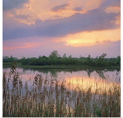 Sunrise, Hillman Marsh, Ontario, Canada
