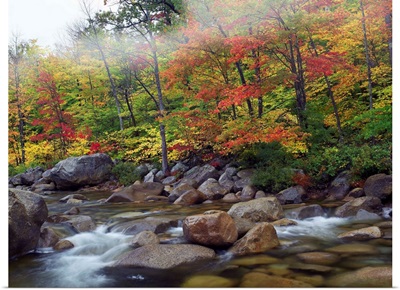 Swift River, White Mountains National Forest, New Hampshire