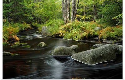 Upper Bear River in early autumn, Nova Scotia, Canada
