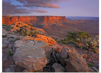 View from the Green River Overlook, Canyonlands National Park, Utah