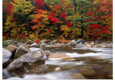 Wild river in eastern hardwood forest White Mountains National Forest Maine
