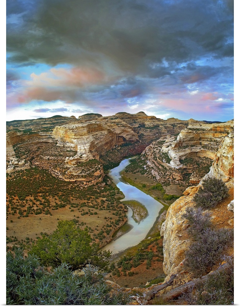 Winding Yampa River, Dinosaur National Monument, Colorado