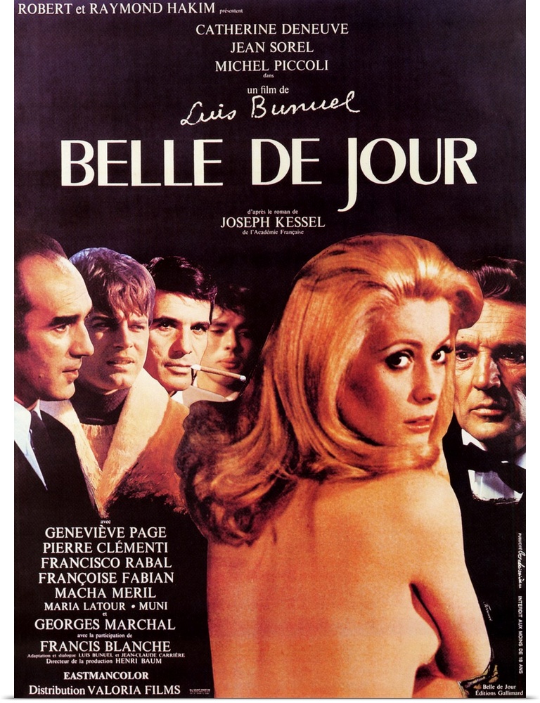 Based on Joseph Kessel's novel, one of director Bunuel's best movies has all his characteristic nuances: the hypocrisy of ...