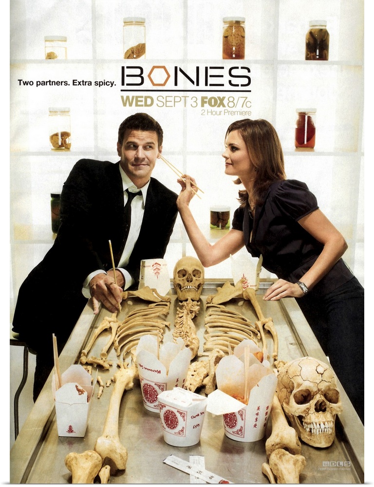 A prosaic forensic anthropologist and a cocky FBI agent build a team to investigate death causes. And quite often, there i...
