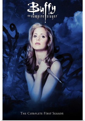 Buffy The Vampire Slayer (TV) (2001)