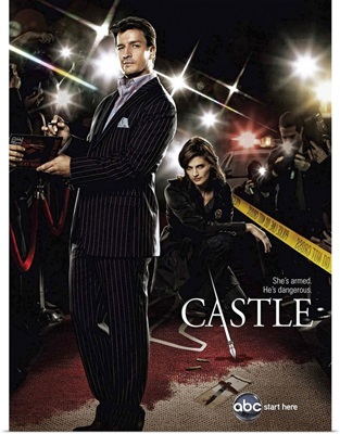 Castle (TV) (2009)
