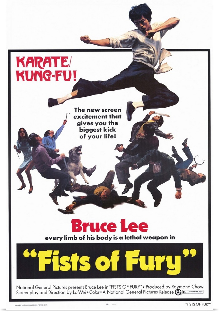 Bruce Lee stars in this violent but charming Kung Fu action adventure in which he must break a solemn vow to avoid fightin...