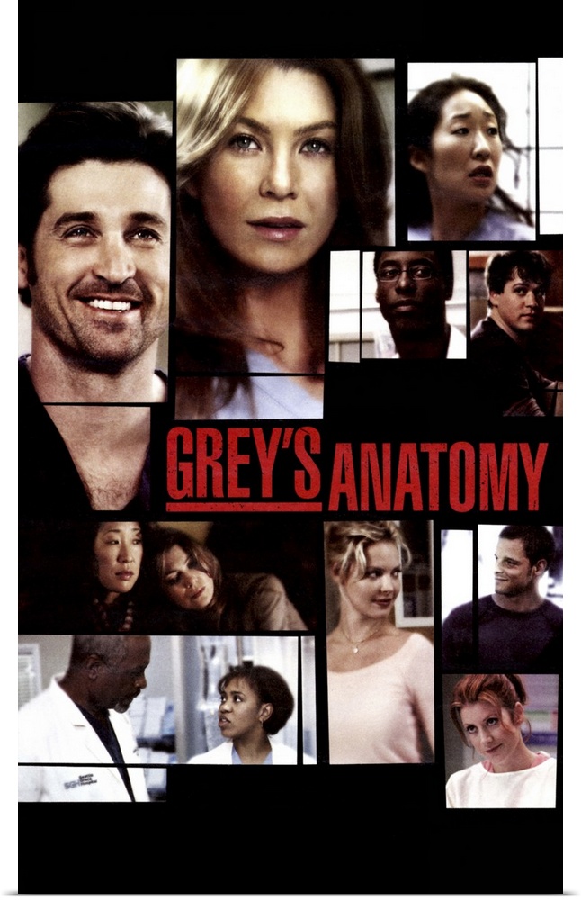 Greys Anatomy (2005)