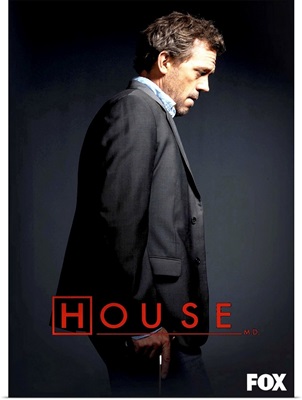 House (TV) (2004)