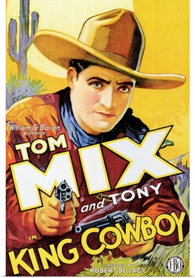 King Cowboy (1928)