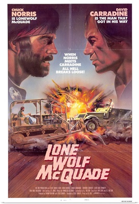 Lone Wolf McQuade (1983)
