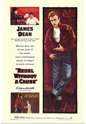 Rebel Without a Cause (1955)