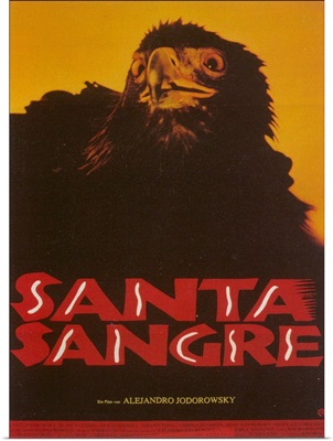 Santa Sangre (1990)