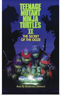 Teenage Mutant Ninja Turtles 2: The Secret of the Ooze (1991)