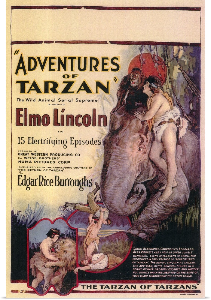 The screen's first Tarzan in an exciting jungle thriller. Silent.