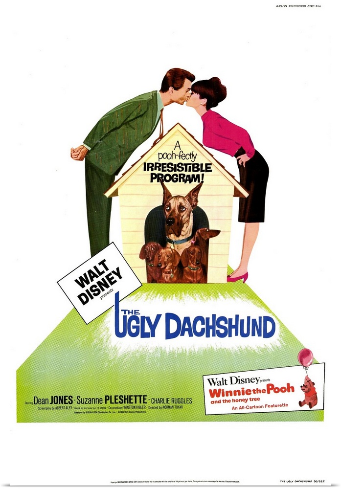 Jones and Pleshette are married dog lovers who raise Dachshunds. When Ruggles convinces them to take a Great Dane puppy, t...