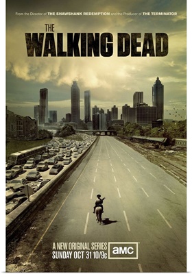 The Walking Dead (TV) (2010)