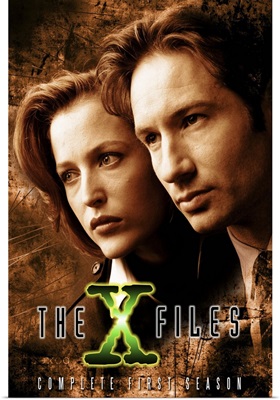 X Files, The (TV) (1993)